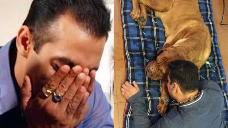 salman khan gets emotional as his pet dog my love passes away bollywood bubble flipboard salman khan gets emotional as his pet