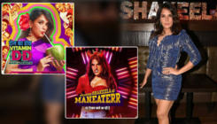 In Pics: Richa Chadha poses in 12 avatars of 'Shakeela' in its calendar