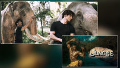 'Junglee' trailer: 5 things to watch out for in Vidyut Jammwal's wildlife action drama