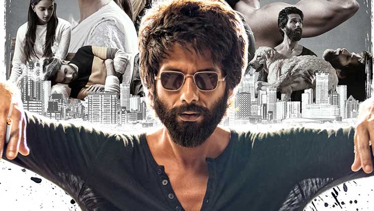Kabir Singh Mid-Ticket Review