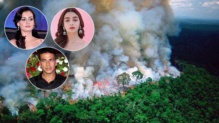 Amazon Rainforest Bollywood celebs