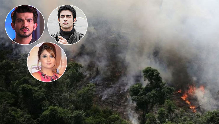 Amazon Rainforest Fire: Arjun Bijlani, Gautam Rode, Urvashi Dholakia and other TV actors pray for Brazil