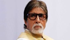Amitabh Bachchan slammed by MNS leader for supporting Mumbai Metro