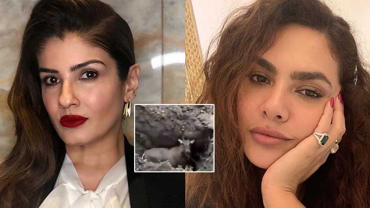 Nilgai Buried Alive Bollywood celebs reactions