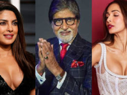 Amitabh Bachchan Priyanka Chopra Malaika Arora Diwali Wishes