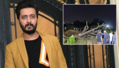 Riteish Deshmukh on Aarey row: What will we do with development if it is not sustainable for people to breathe clean air?