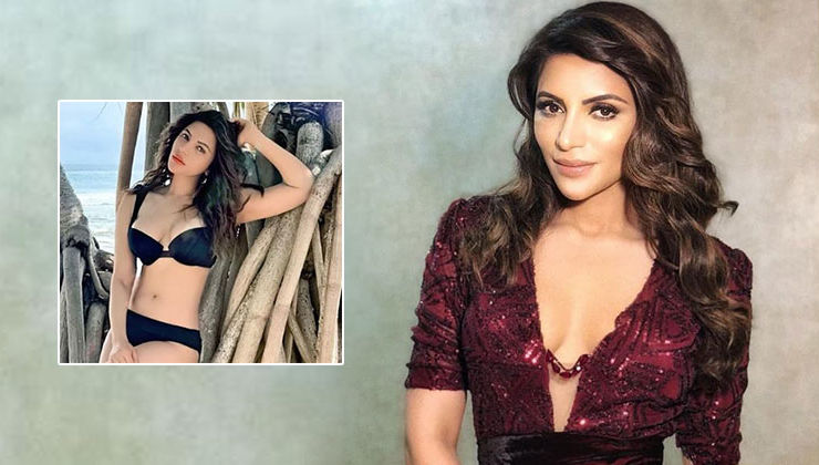 Shama Sikander yet again scorches the screens with her super-hot bikini picture