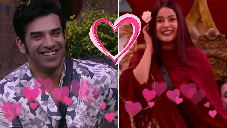 Paras Chhabra, Shehnaaz Gill, Bigg Boss 13