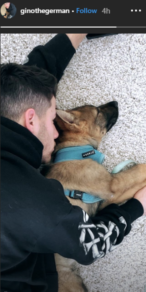 Nick Jonas, Priyanka Chopra