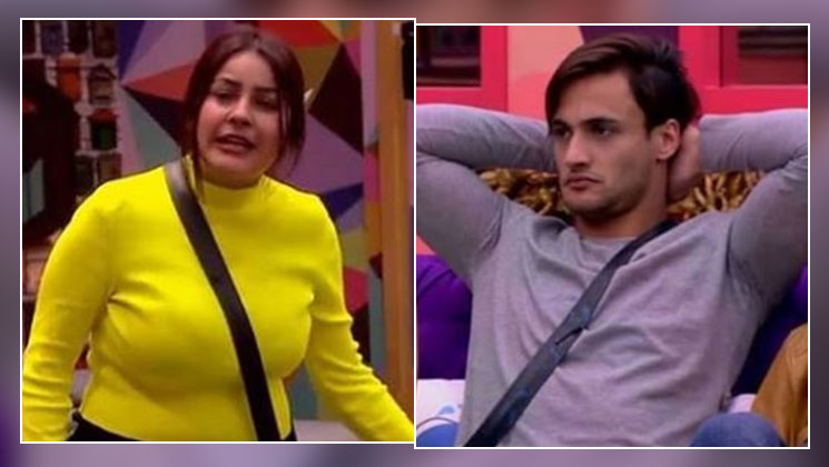 Shehnaaz Gill Asim Riaz Bigg Boss 13