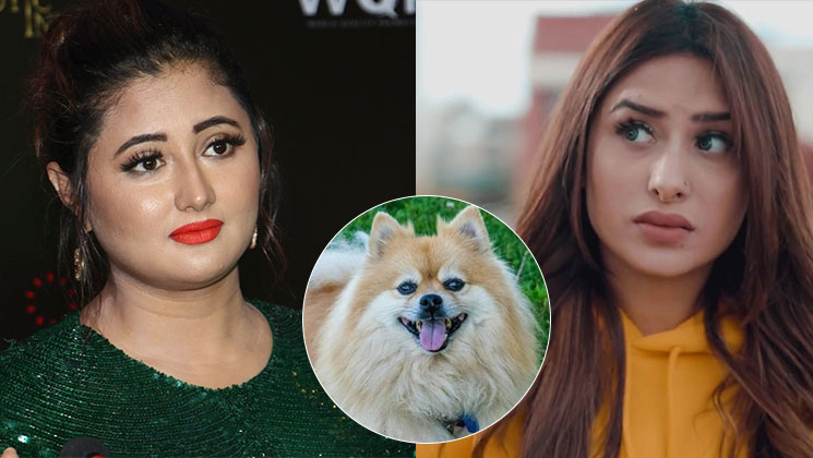 Rashami Desai and Mahira Sharma-Bigg Boss 13