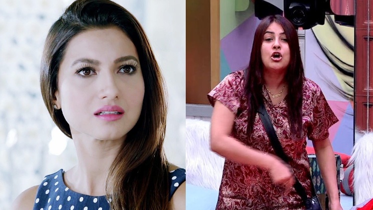 Gauahar Khan, Shehnaaz Gill, Bigg Boss 13