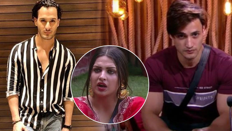 Umar Riaz, Asim Riaz, Himanshi Khurana, Bigg Boss 13,
