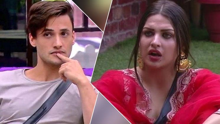 Asim Riaz, Himanshi Khurana, Bigg Boss 13
