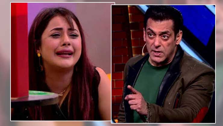 bigg boss 13 salman khan shehnaaz gill