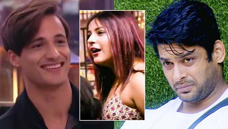 Sidharth Shukla, Asim Riaz, Bigg Boss 13, Shehnaaz Giull