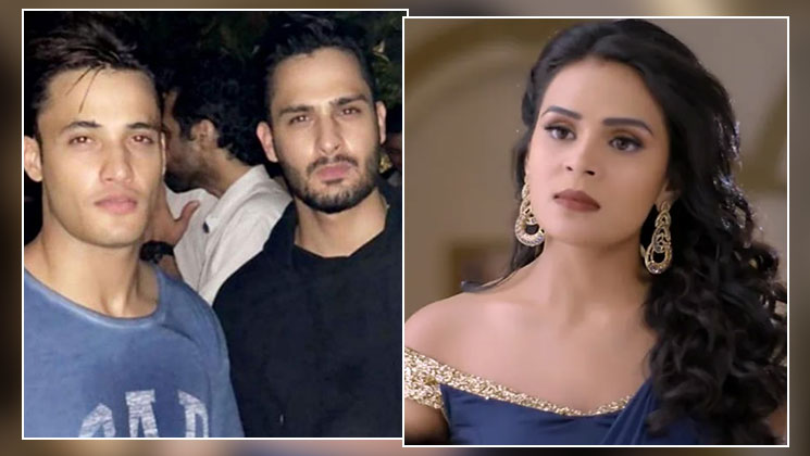 Sonal Vengrulekar, Umar Riaz, Asim Riaz, Bigg Boss 13