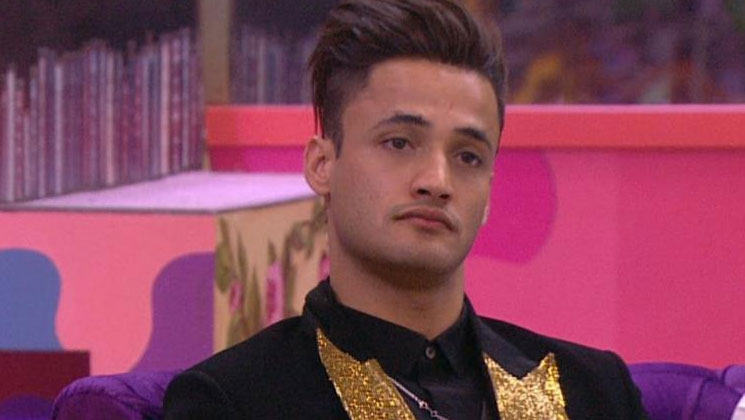 Asim Riaz, Bigg Boss 13