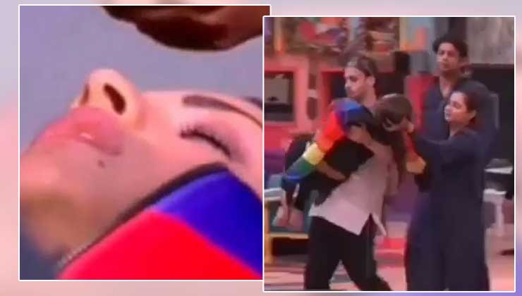 Himanshi Khurana and Asim Riaz-Bigg Boss