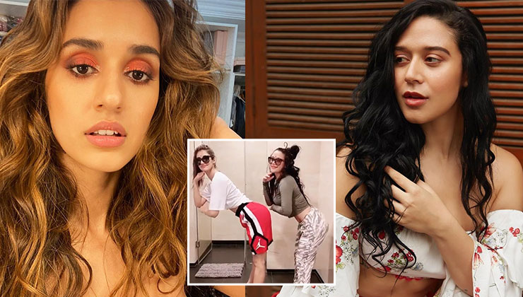 Disha Patani Krishna Shroff Self Quarantine TikTok Video