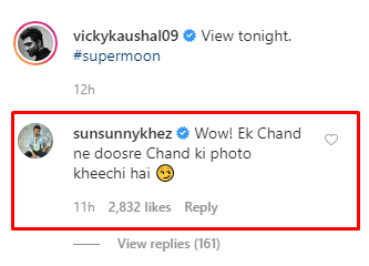 Vicky Kaushal, Sunny Kaushal