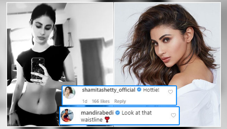 Mouni Roy waistline figure