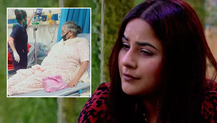 Shehnaaz Gill, Bigg Boss 13