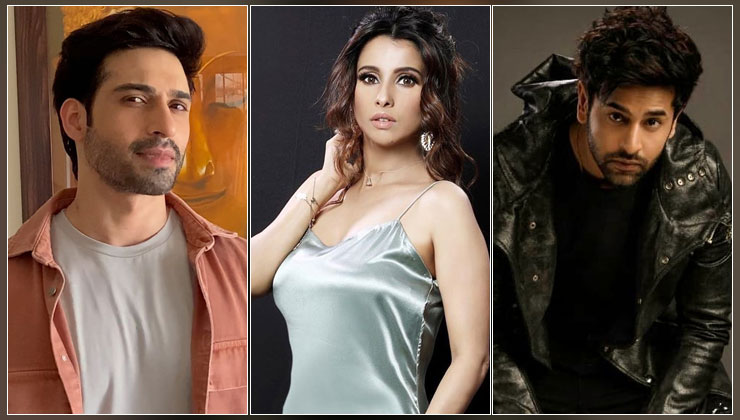 Sushant Singh Rajput Nepotism TV Television celeb