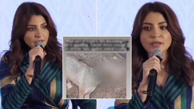 Anushka Sharma on jackal killing