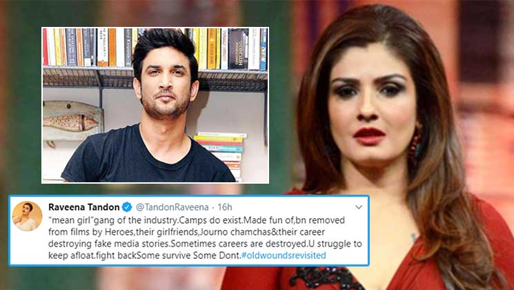Raveena Tandon, Sushant Singh Rajput