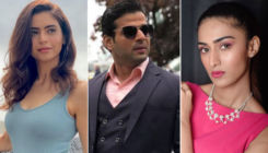 Karan Patel, Erica Fernandes, Aamna Sharif's Covid-19 test reports are out