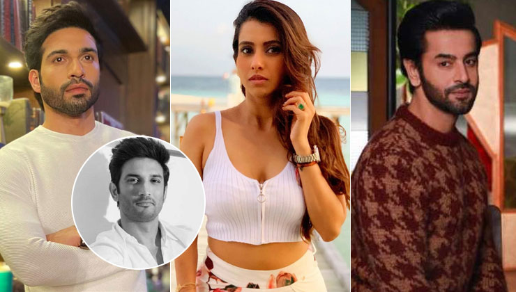 Sushant Singh Rajput CBI TV stars