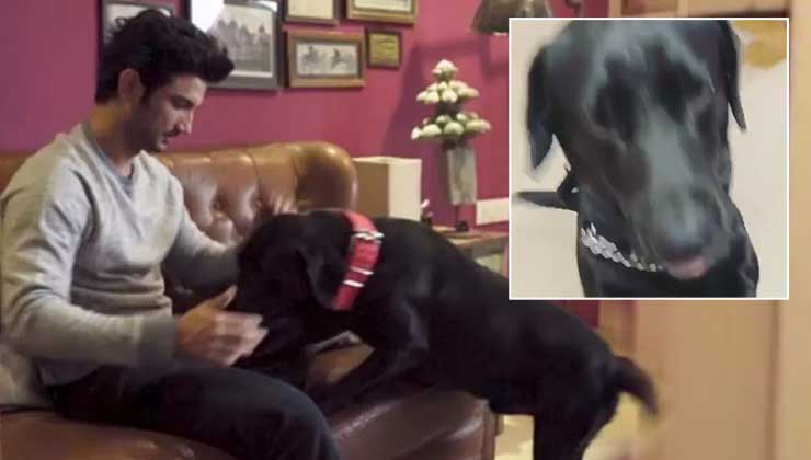 Sushant Singh Rajput