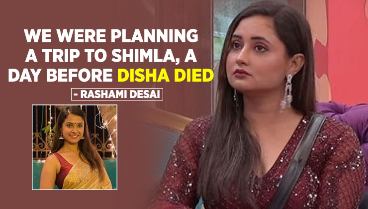 Rashami Desai Disha Salian