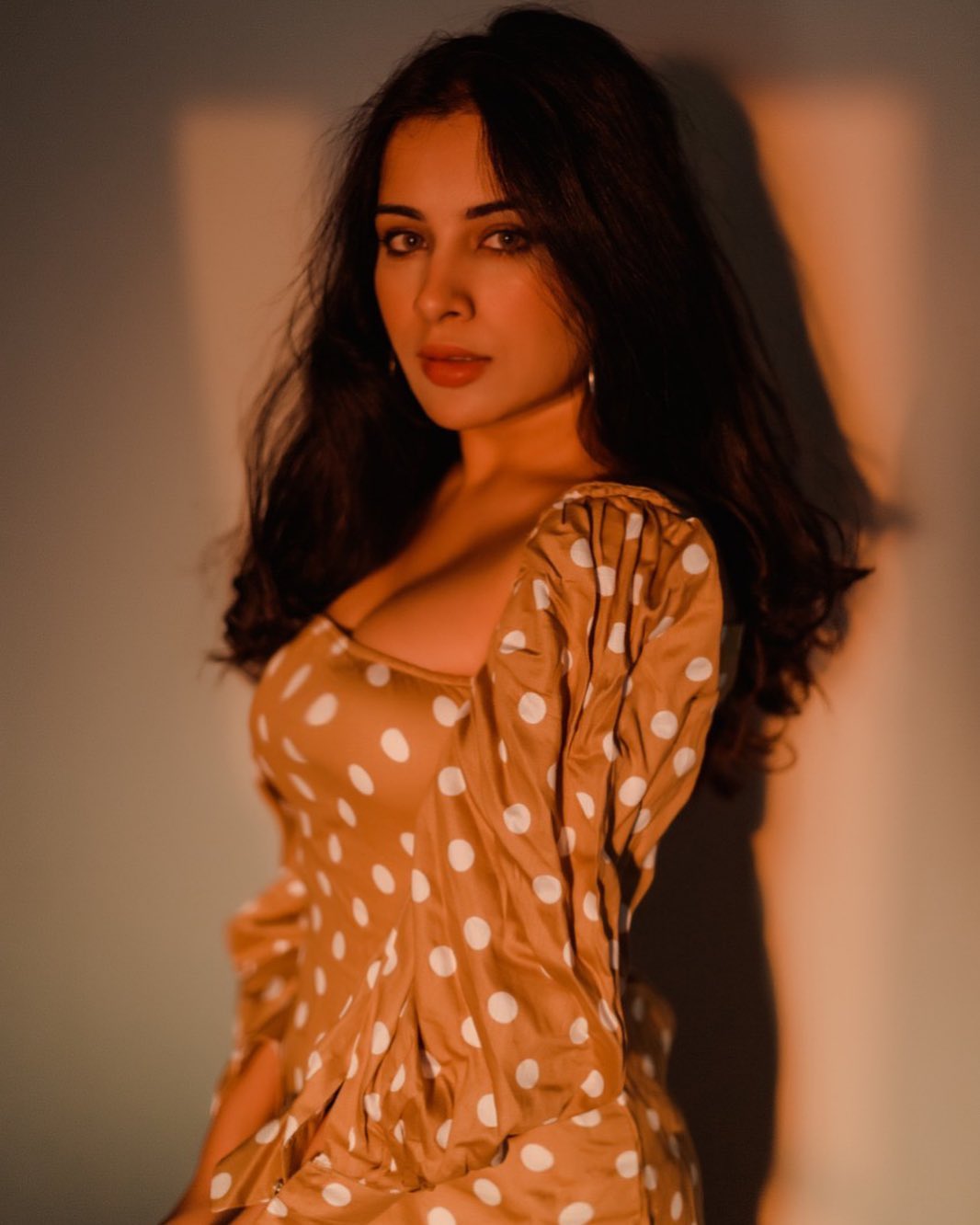 Sara Gurpal Hot Pics