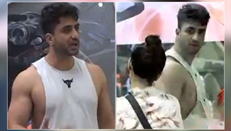 Aly Goni, Bigg Boss 14