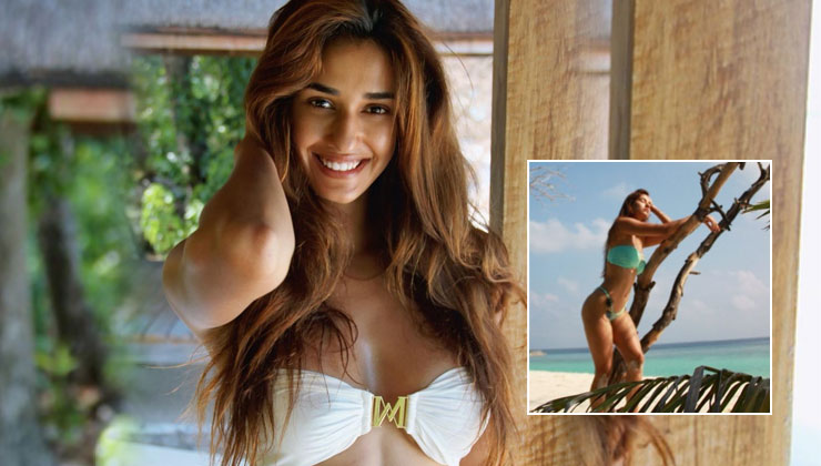 disha patani, disha patani bikini pics