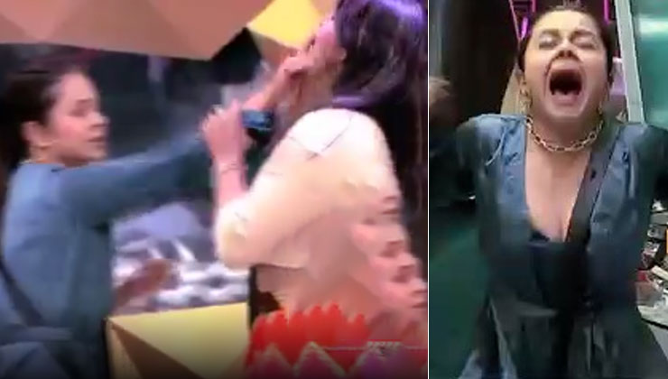 Bigg Boss 14, Bigg Boss 2020, Devoleena Bhattacharjee, Eijaz Khan, Arshi Khan, BB 14, Salman Khan,