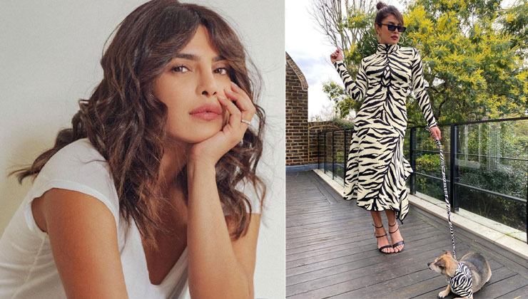 Priyanka Chopra, The White Tiger