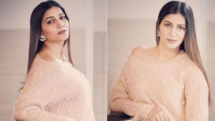 Sapna Choudhary booked cheating