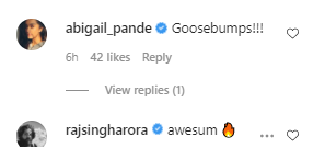Raj Singh Arora's comment on Pooja Gor's Pratigya teaser