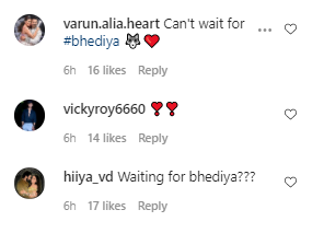 Fans comment for Bhediya