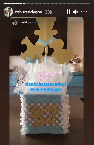 Anita Hassanandani, Rohit Reddy, Aarav Reddy