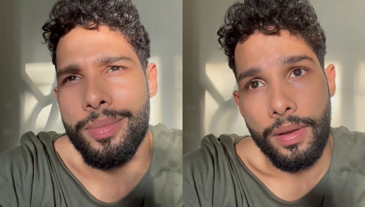 Siddhant Chaturvedi, Siddhant Chaturvedi movies, Gully Boy