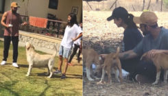 Anushka Sharma and Virat Kohli playing with dogs is adorable beyond words; watch video