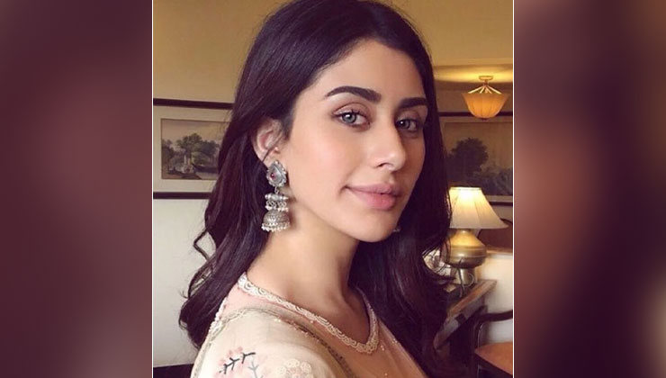 Warina Hussain, Aamir Khan