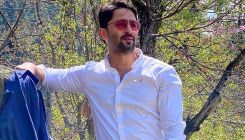 Shaheer Sheikh looks handsome in semi-formals as he poses amid nature's beauty in new PIC and feels poetic
