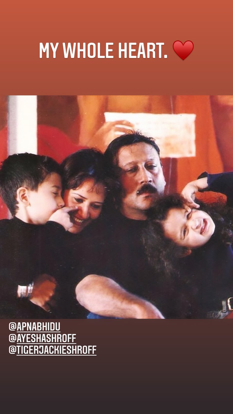 krishna shroff posts