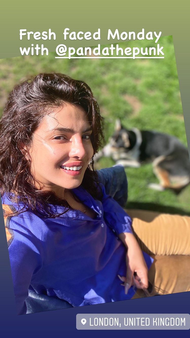 priyanka, priyanka chopra, priyanka chopra video, प्रियंका, चोपड़ा, प्रियंका चोपड़ा, nick jonas, priyanka chopra nick jonas, priyanka age, priyanka hot, priyanka chopra age, priyanka chopra ka, actress priyanka, priyanka chopra hot, प्रियंका चोपड़ा सेक्सी, priyanka photo, deepika, प्रियंका सेक्सी वीडियो, priyanka chopra photo, प्रियंका सेक्स, प्रियंका चोपड़ा सेक्सी वीडियो, deepika padukone, priyanka chopra xx, katrina kaif, प्रियंका चोपड़ा की सेक्सी, dsjp candidate priyanka, malayalam serial actress priyanka, malayalam actress priyanka, priyanka anoop, serial actress priyanka age, priyanka chopra autobiography, priyanka malayalam, serial actress priyanka, actress priyanka, ashok chopra, priyanka chopra siblings,