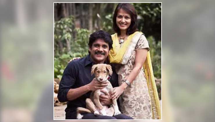 Nagarjuna Birthday, Nagarjuna, Nagarjuna Birthday Special, King of Tollywood